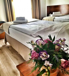 Отель Apartamenty Pod Lwem  Свидница